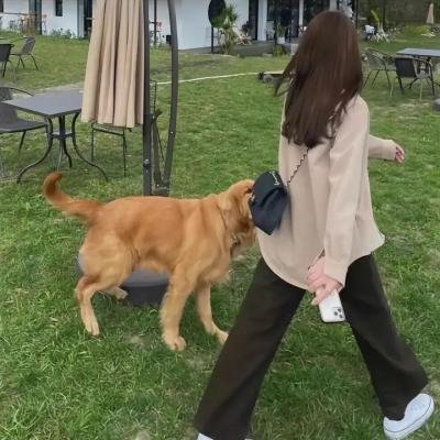 你行剧照